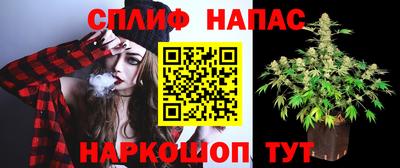 СК Изобильный