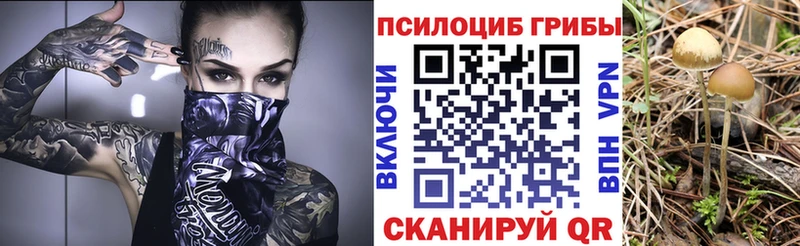 Псилоцибиновые грибы ЛСД  Сухой Лог 
