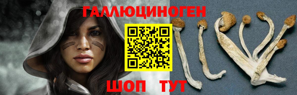 Псилоцибиновые грибы Magic Shrooms  Вход с VPN  Сухой Лог 