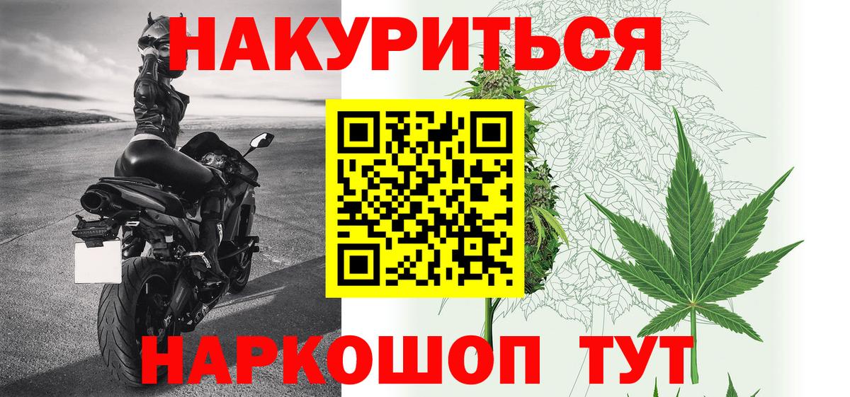 Конопля план Сухой Лог